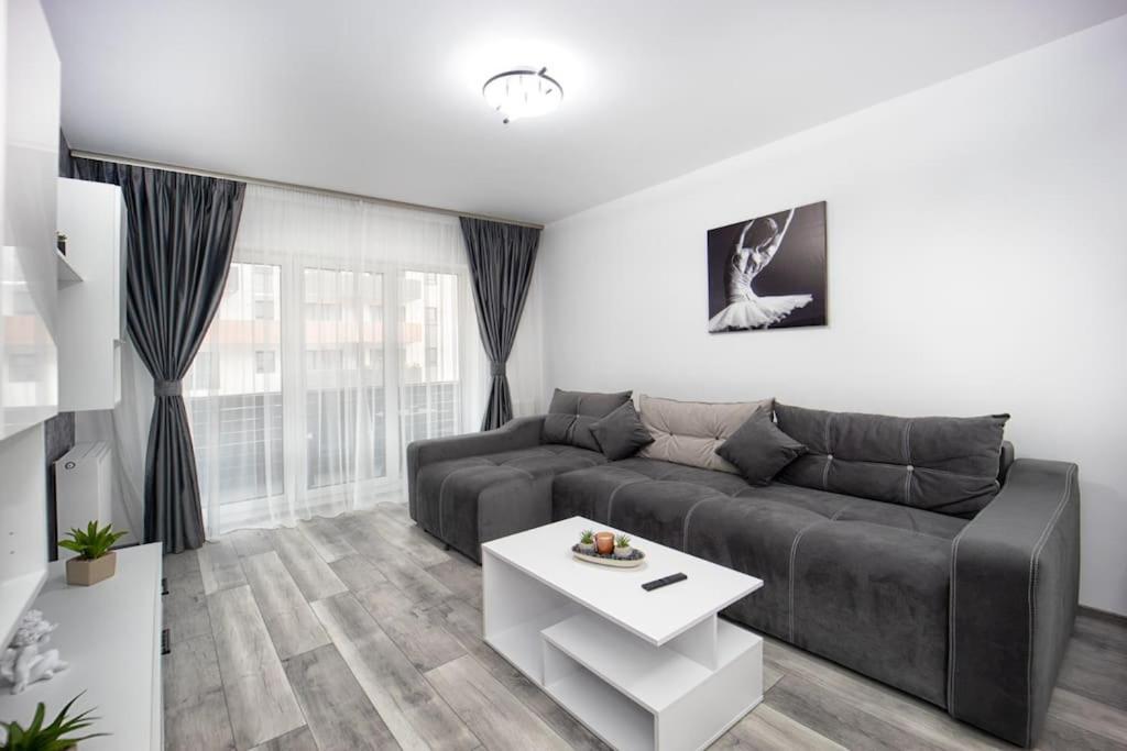 Cozy Apartment Brasov